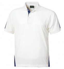 The Team Polo